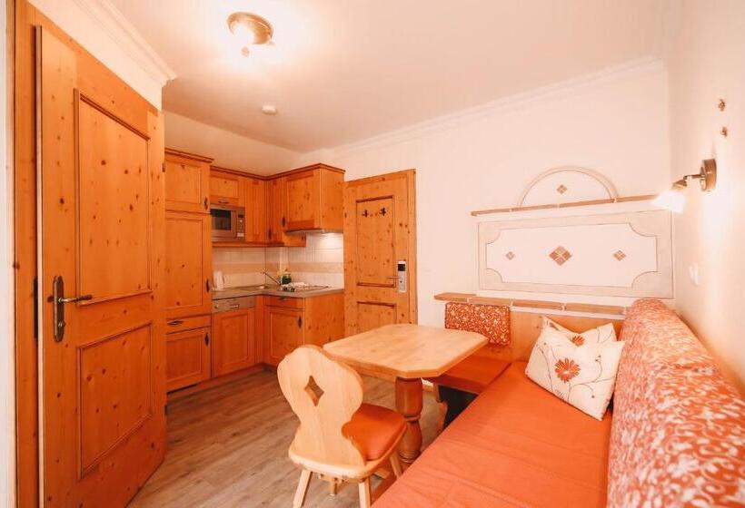 آپارتمان عادی 1 خوابه, Posers Bergwelt B&b