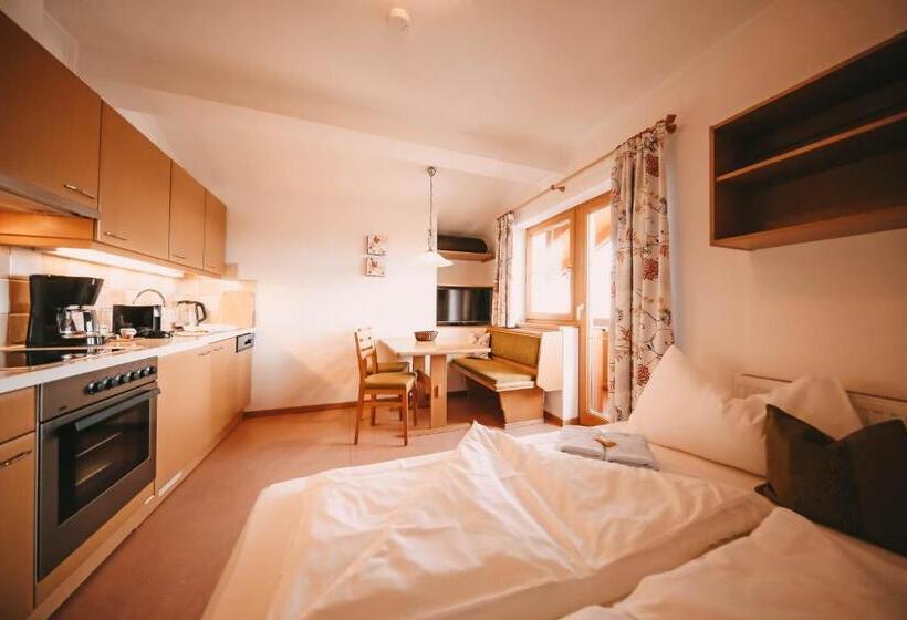 آپارتمان 1 خوابه با بالکن, Posers Bergwelt B&b