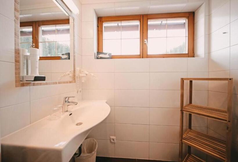 آپارتمان 1 خوابه با بالکن, Posers Bergwelt B&b