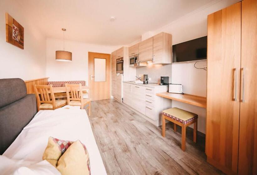 آپارتمان 1 خوابه با بالکن, Posers Bergwelt B&b