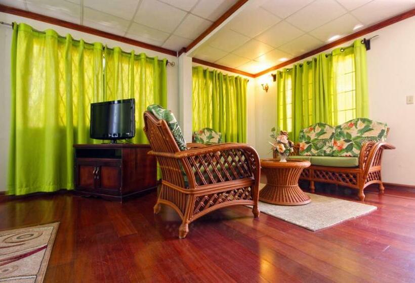 استودیو استاندارد با تخت کینگ, Brandsville