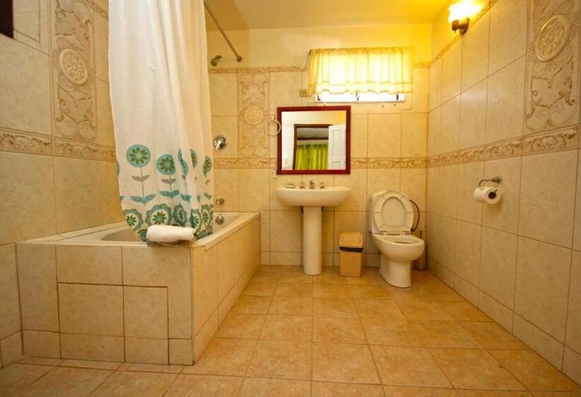 استودیو استاندارد با تخت کینگ, Brandsville