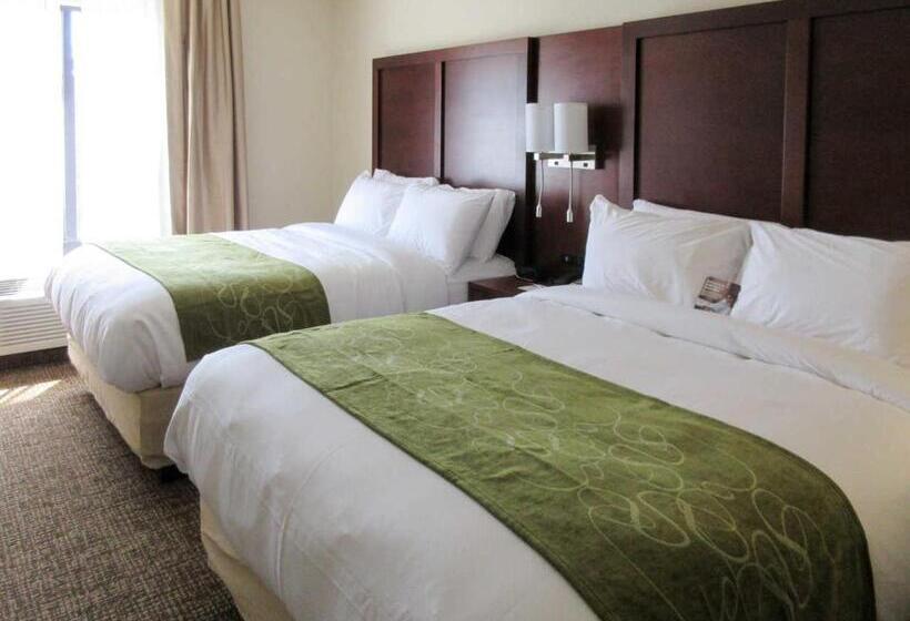 سوییت خانوادگی, Comfort Suites Greenville South