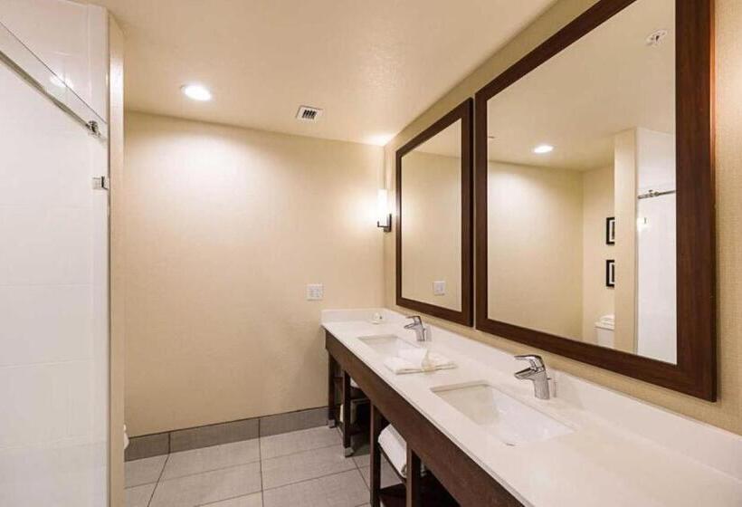 سوییت خانوادگی, Comfort Suites Greenville South
