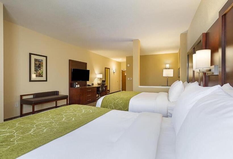 سوییت خانوادگی, Comfort Suites Greenville South