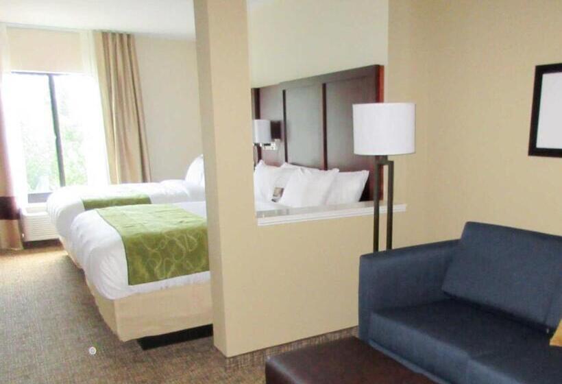 سوییت, Comfort Suites Greenville South