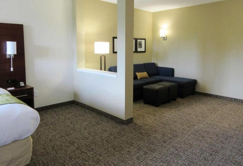 سوئیت با تخت بزرگ, Comfort Suites Greenville South