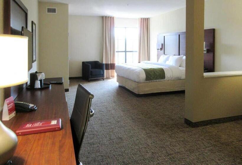 سوئیت با تخت بزرگ, Comfort Suites Greenville South