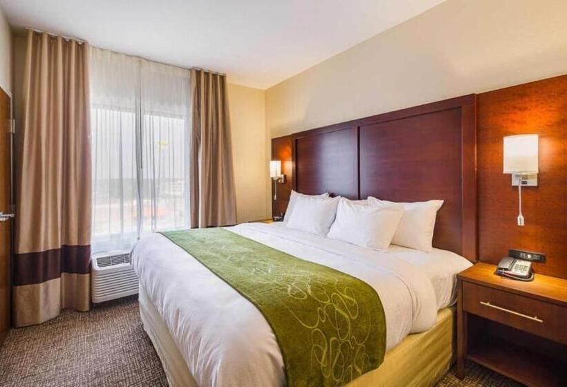 سوئیت با تخت بزرگ, Comfort Suites Greenville South