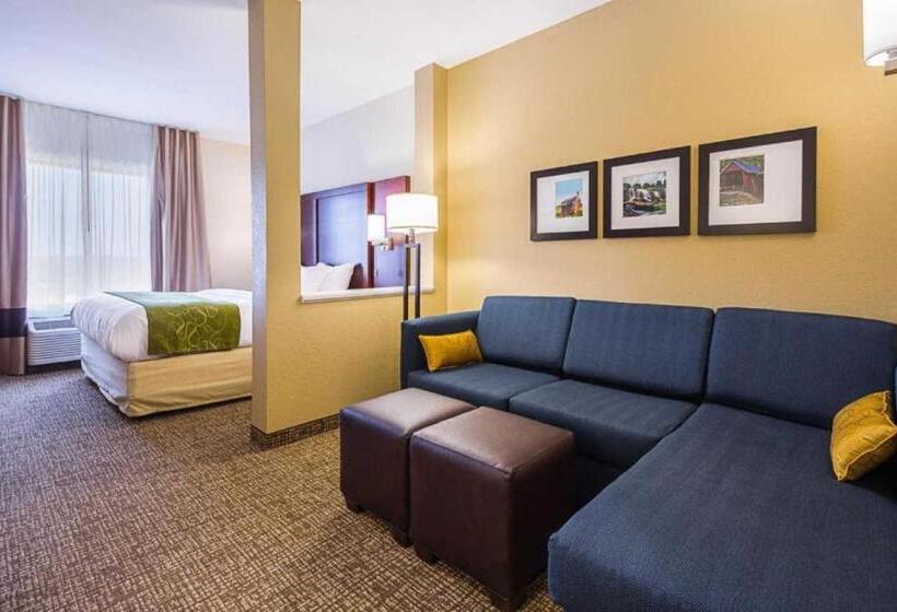 سوئیت با تخت بزرگ, Comfort Suites Greenville South