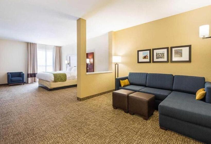 سوئیت با تخت بزرگ, Comfort Suites Greenville South