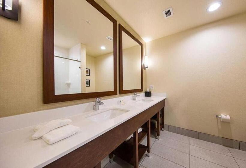 سوئیت با تخت بزرگ, Comfort Suites Greenville South