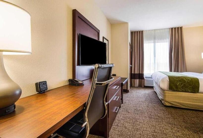 سوئیت با تخت بزرگ, Comfort Suites Greenville South
