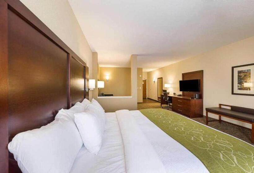 سوئیت با تخت بزرگ, Comfort Suites Greenville South