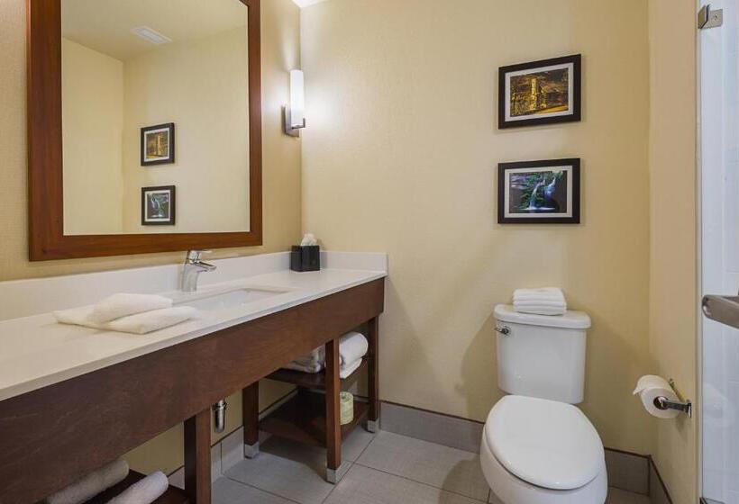 سوئیت با تخت بزرگ, Comfort Suites Greenville South