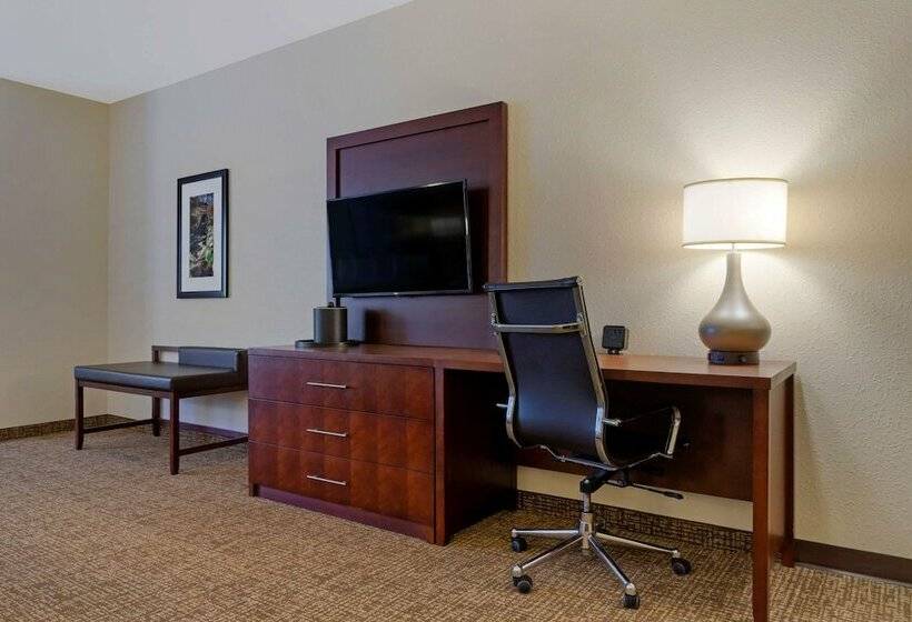 سوییت, Comfort Suites Greenville South