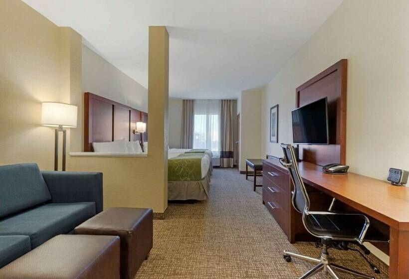 سوییت, Comfort Suites Greenville South