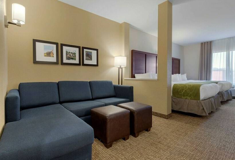 سوییت, Comfort Suites Greenville South