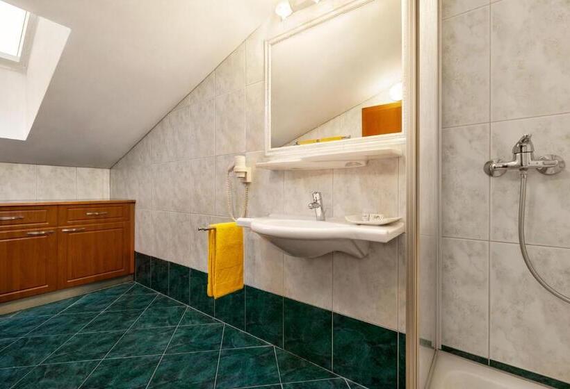 آپارتمان 1 خوابه با بالکن, Gansl Hotel & Residences Zell Am See Saalbach Leogang Smart Choice