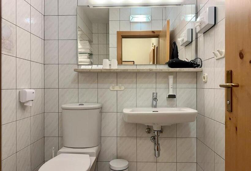 استودیو استاندارد با بالکن, Gansl Hotel & Residences Zell Am See Saalbach Leogang Smart Choice