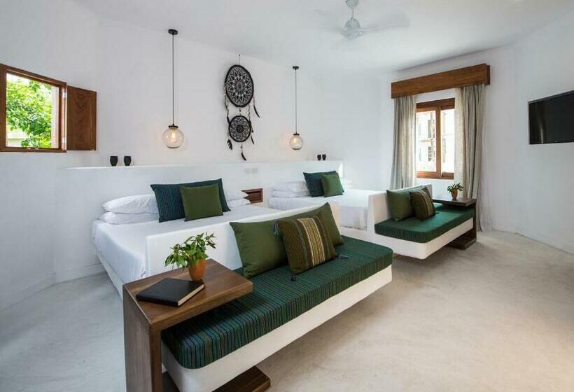 سوییت جونیور سوپریور, Villas Hm Palapas del Mar
