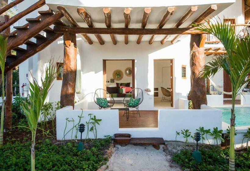 سوییت جونیور سوپریور, Villas Hm Palapas del Mar