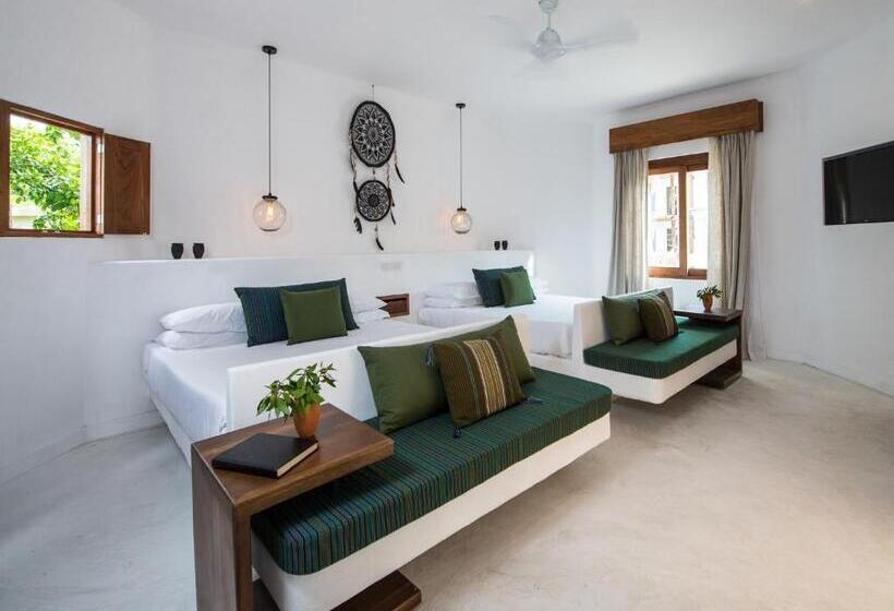 سوئیت جونیور پریمیوم, Villas Hm Palapas del Mar