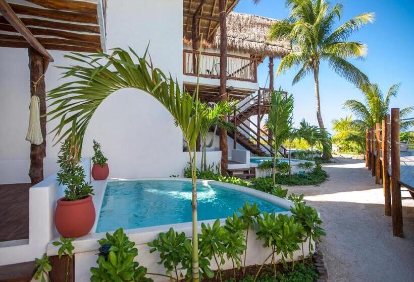 سوئیت جونیور با استخر, Villas Hm Palapas del Mar