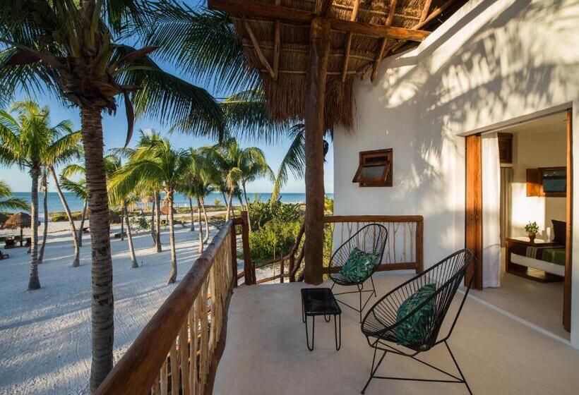 سوییت جونیور سوپریور, Villas Hm Palapas del Mar
