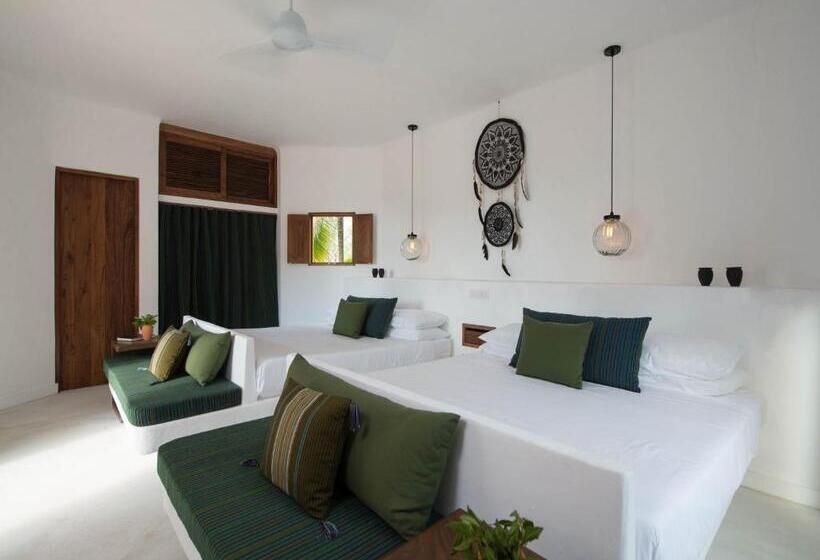 سوییت جونیور سوپریور, Villas Hm Palapas del Mar