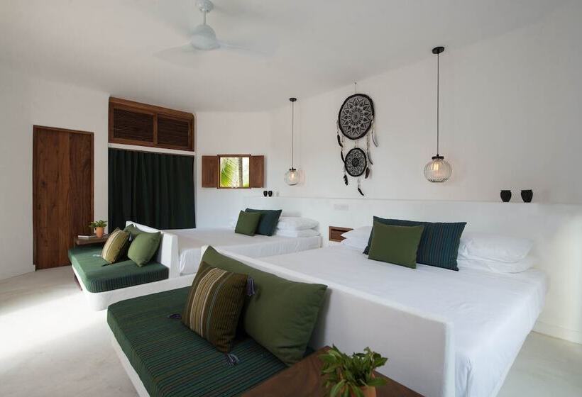 سوییت جونیور سوپریور, Villas Hm Palapas del Mar
