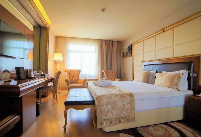 اتاق استاندارد با تخت بزرگ, Wyndham Batumi