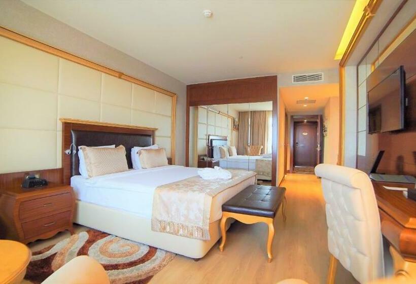 اتاق استاندارد با تخت بزرگ, Wyndham Batumi