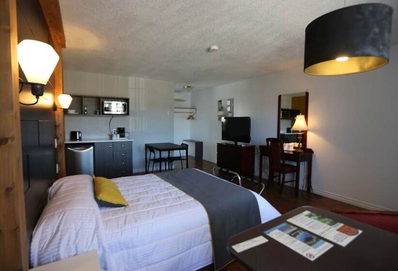 اتاق سوپریور, Motel Le Riviera