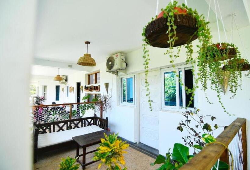 اتاق اکونومی, Tulia House Backpackers