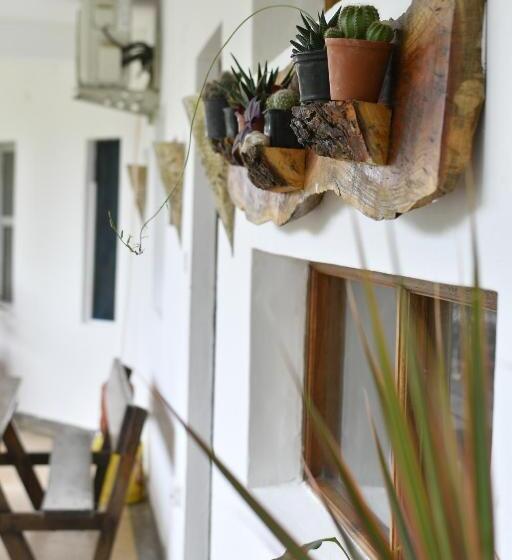 اتاق خانوادگی, Tulia House Backpackers