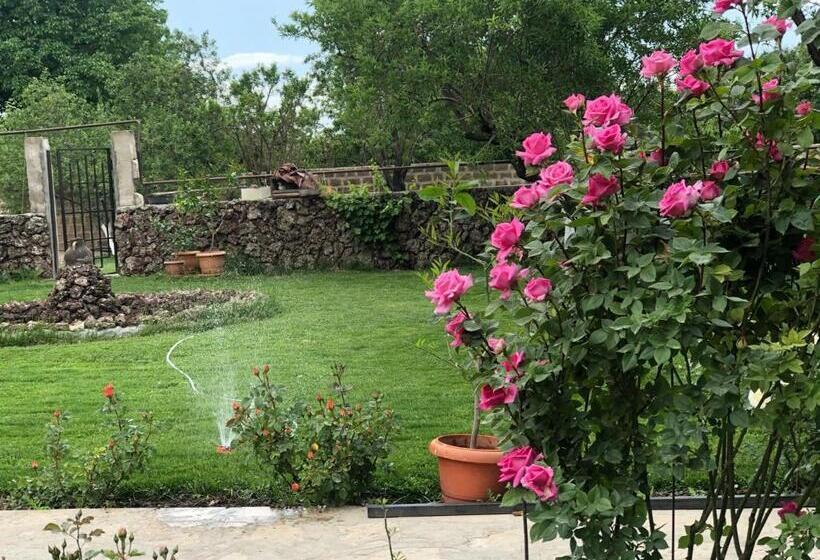 اتاق استاندارد با سرویس بهداشتی مشترک, Chez Yvette