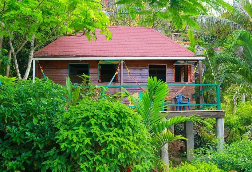 اتاق استاندارد با سرویس بهداشتی مشترک, Zion Country