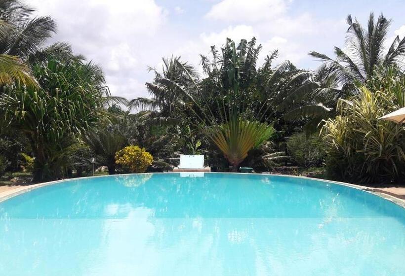 اتاق استاندارد, African Dream Cottages   Diani Beach
