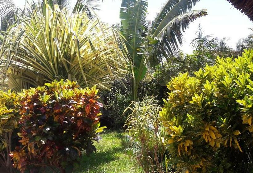 اتاق استاندارد, African Dream Cottages   Diani Beach