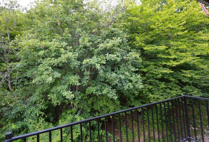 اتاق استاندارد, Yeghevnut