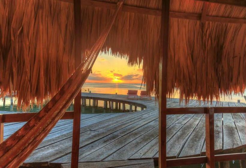 بانگلوی استاندارد, St. George's Caye Resort