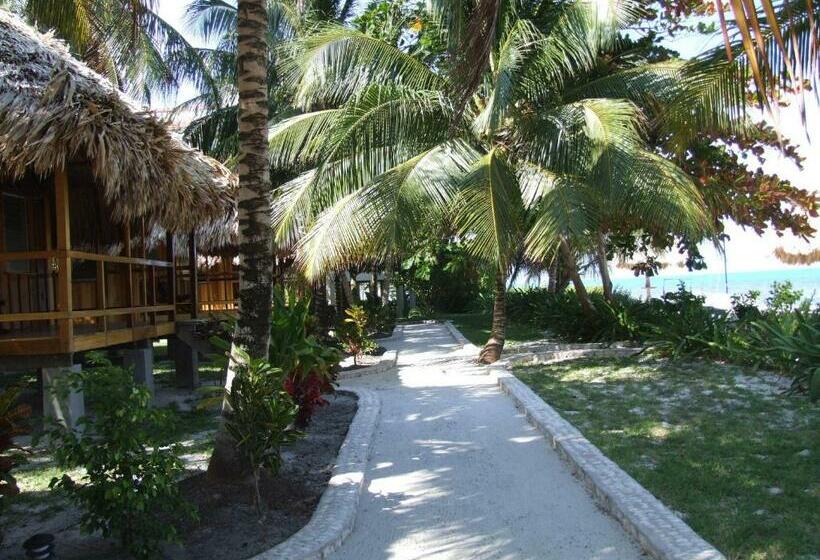 بانگلوی استاندارد با چشم‌انداز دریا, St. George's Caye Resort