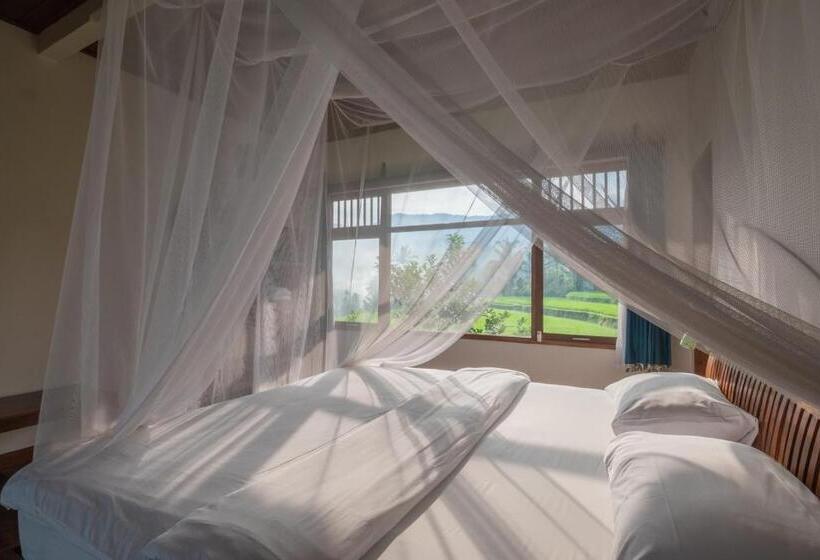 اتاق استاندارد با چشم‌انداز کوهستان, Lesong Hotel And Restaurant