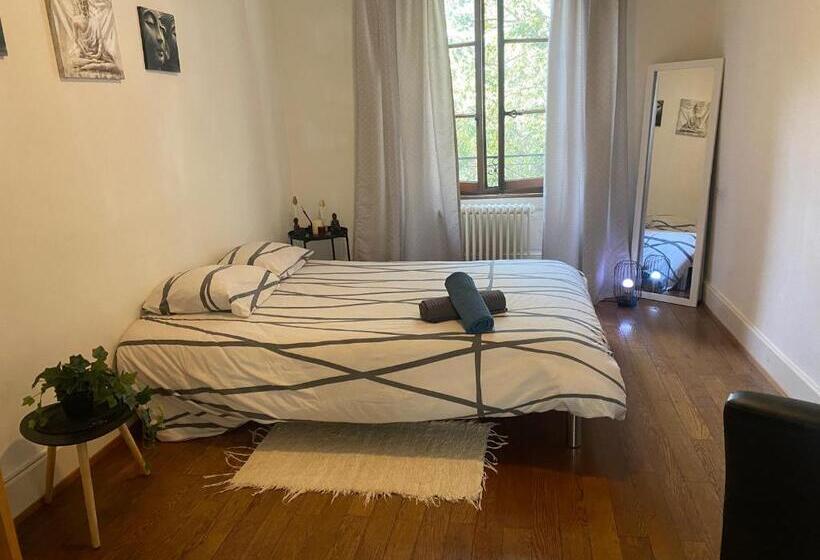 اتاق استاندارد با چشم‌انداز کوهستان, Chambre Double Vue Lac Montreux Centre