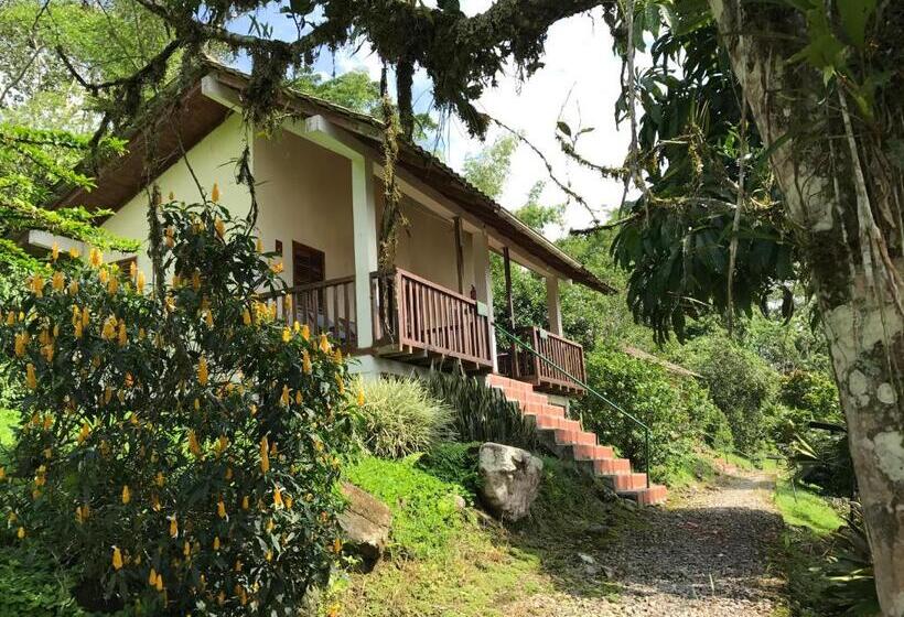 标准间, Jungle Lodge El Jardin Aleman