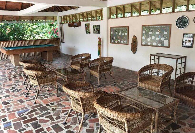标准间, Jungle Lodge El Jardin Aleman