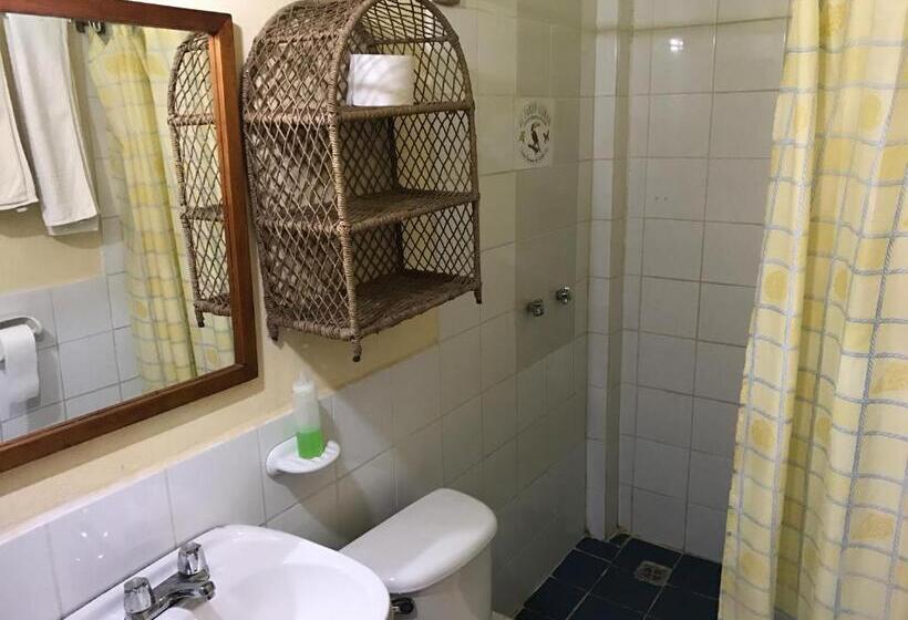 标准间, Jungle Lodge El Jardin Aleman