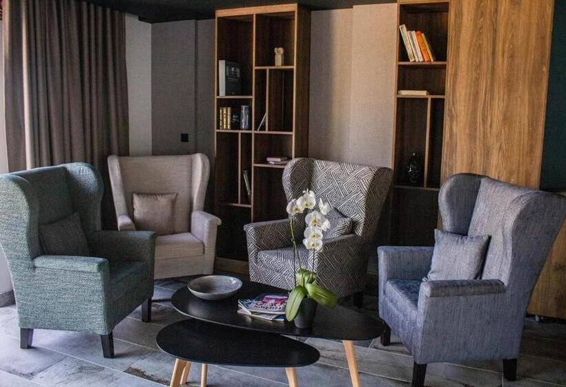 اتاق استاندارد برای معلولان, Mediterraneo Luxury Room Esztergom