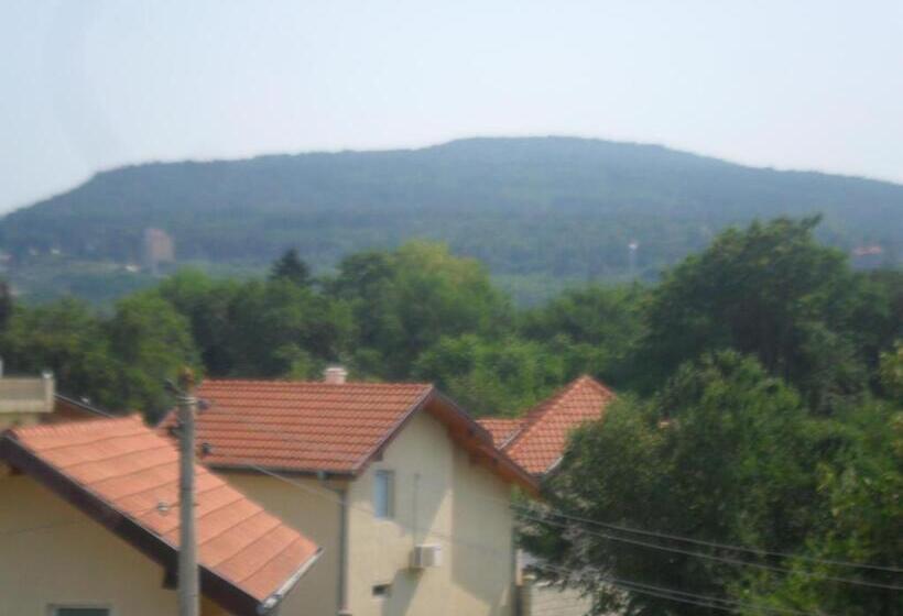 اتاق اکونومی, Ankor